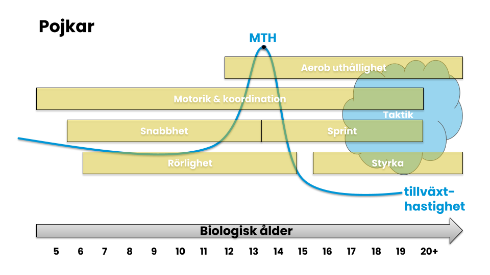 maximal tillväxthastighet för flickor